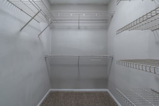 Walk-in Closet with Shelving