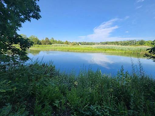 A serene lake surrounded by lush greenery under a clear blue sky.