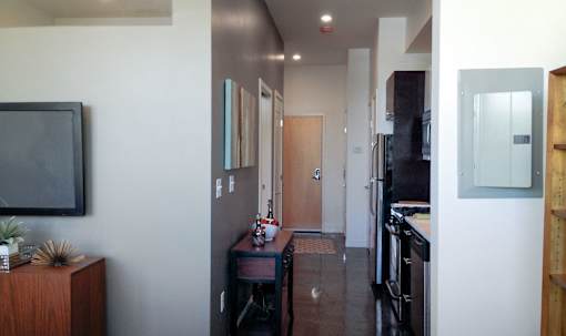 A hallway with a door on the right and a plant on the left.