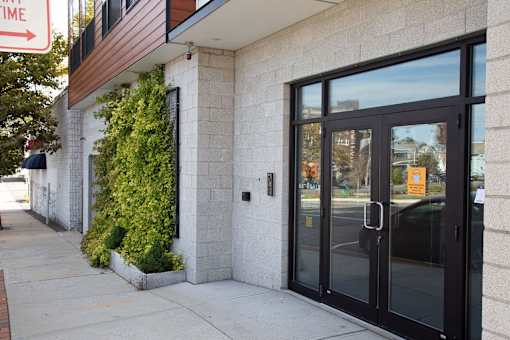 A building with a black door and windows with a plant on the side.