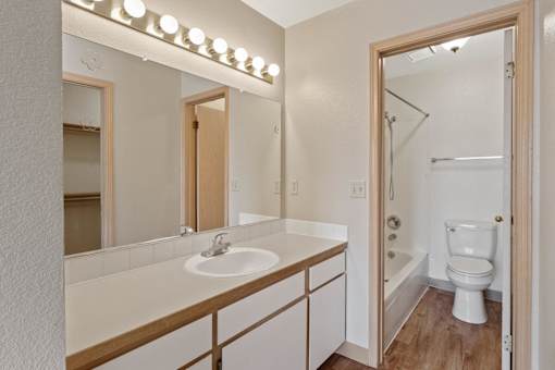 A bathroom with a sink, mirror, and toilet.