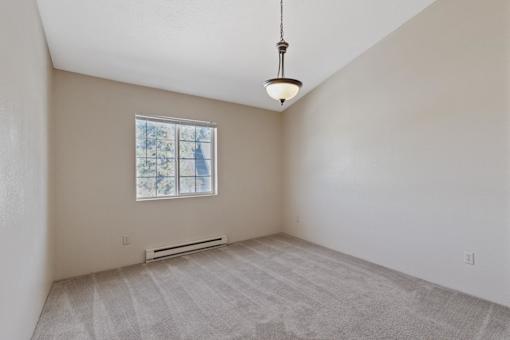 A room with a carpeted floor and a window with a view of trees outside.