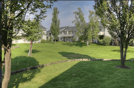 A tree in a yard with a house in the background.