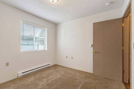 A room with a window, a door, and a carpet on the floor.