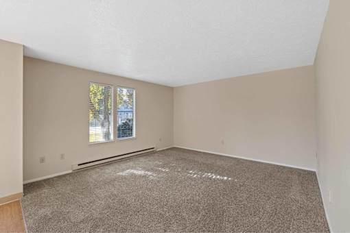 A room with a carpeted floor and a window.