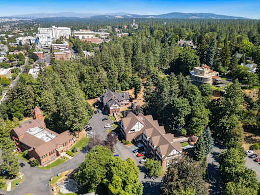 A bird's eye view of a residential area with houses surrounded by trees.