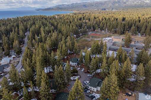 A forest of trees surrounds a small building.