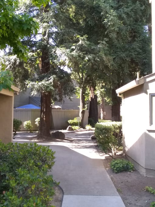 Colonial Farms Apartments - Concrete walkway to apartment building between other buildings