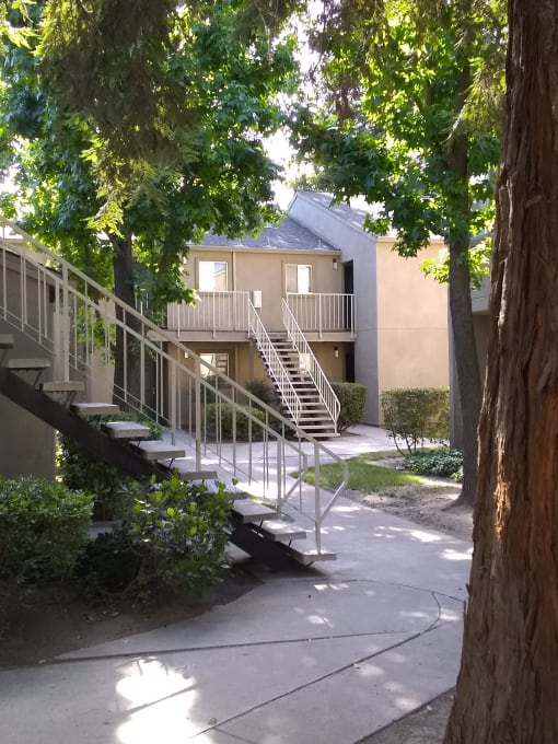 Colonial Farms Apartments - concrete walkway up to stairs to apartments with tree in foreground
