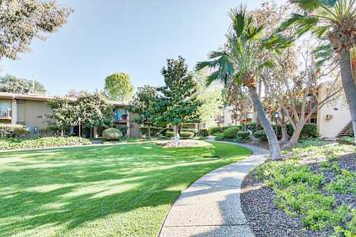 a yard with palm trees and a sidewalk at Mediterranean Village Costa Mesa, Costa Mesa
