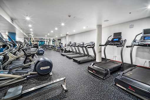 A gym with treadmills, elliptical machines, and other exercise equipment at Esprit Marina del Rey, 90292