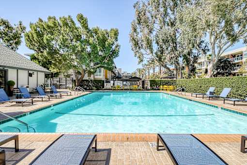 A large swimming pool surrounded by trees and lounge chairs.