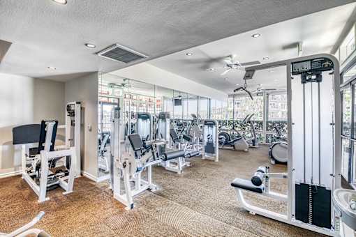 A well-equipped gym with a variety of machines and weightlifting equipment.