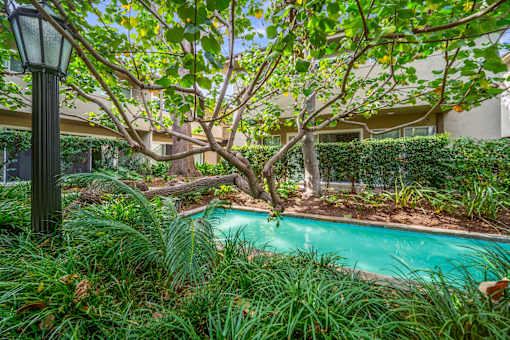 A pool surrounded by green plants and trees.