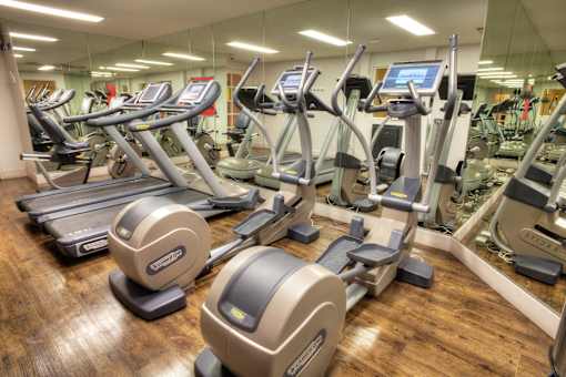 A gym with treadmills and elliptical machines.