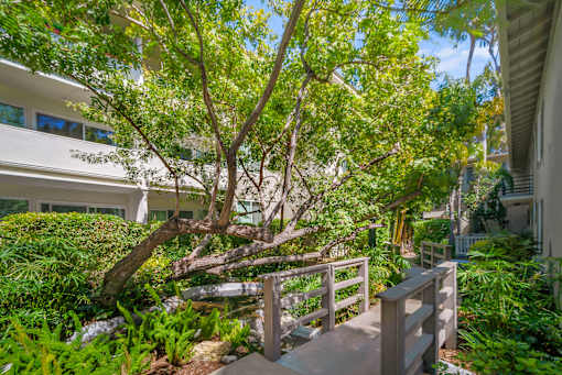 A tree in a backyard with a wooden deck.
