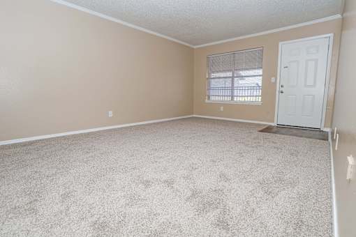 A living room with a carpeted floor and a window at The Creole Apartments in Shreveport, LA
