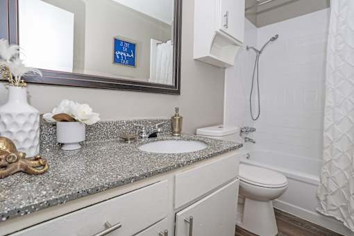A bathroom with a sink, toilet, and a mirror at The Oasis apartments in Bossier City, LA