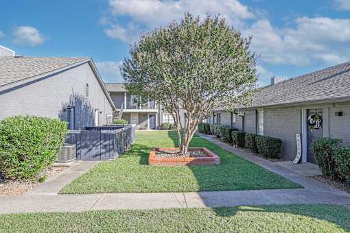 A tree in a planter is the focal point of a row of apartments at The Oasis apartments in Bossier City, LA
