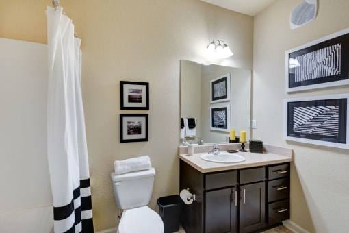 Spacious Bathrooms at Patriot Park Apartment Homes in Fayetteville, NC,28311