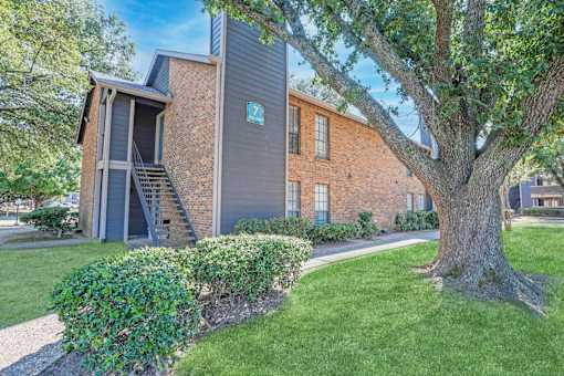 Beautifully maintained grounds surrounding our apartments with a large tree at The Pearl apartments in Shreveport, LA