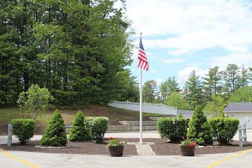 A flag is flying in front of a row of trees.