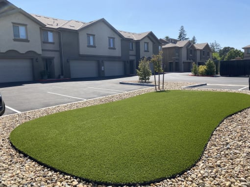 Maroa Court Apartments Eco Friendly Landscaping