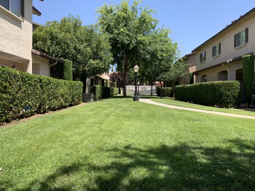 Grassy Area