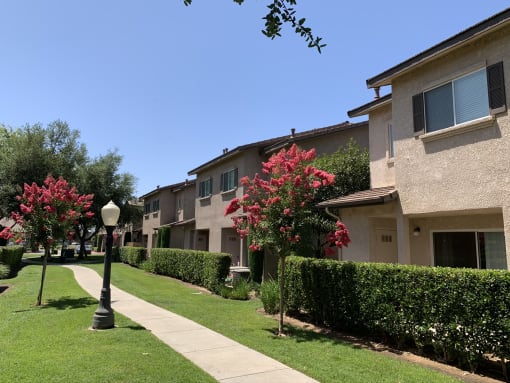 Nees Park Exterior