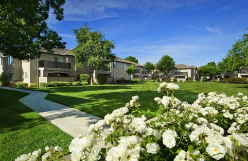 Large open area with lush landscaping
