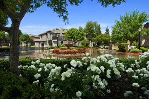 Le Provence at the Dominion Courtyard