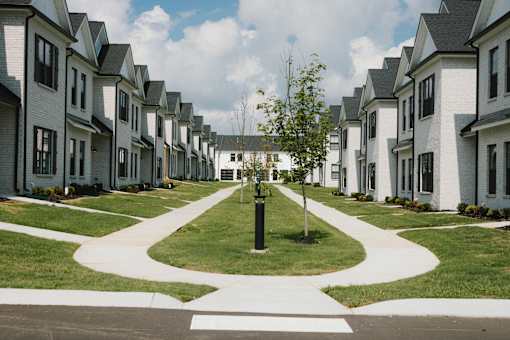 A tree stands in a grassy circle in front of a row of houses.