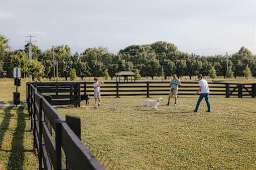 A family is playing with their dog in a fenced-in area.