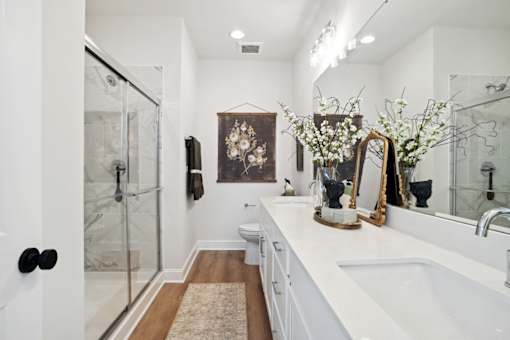 A bathroom with a white sink and a brown rug.