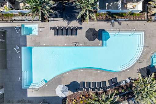 An aerial view of a pool surrounded by palm trees.