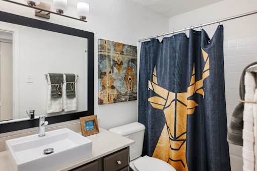 Bathroom with modern vanity and artistic shower curtain at Skyline at Barton Creek Apartments, Austin, Texas