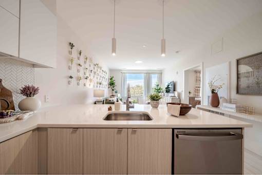 A modern kitchen with a stainless steel dishwasher and wooden cabinets.
