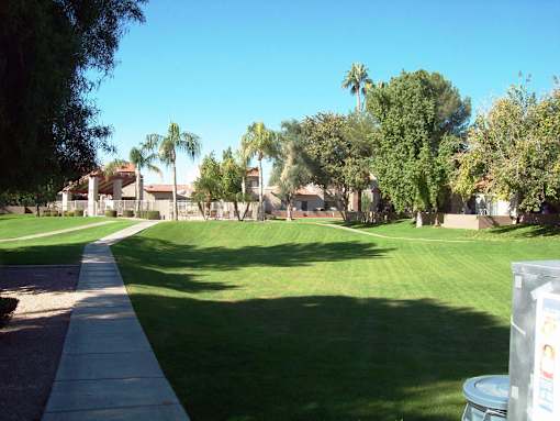 A park with a walking path and a trash can.