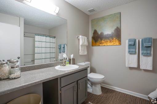 A bathroom with a toilet, sink, and mirror.