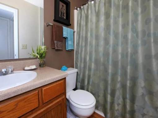 A bathroom with a toilet, sink, and shower curtain.