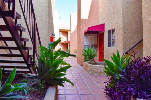 Red tile walkway and vibrant foliage
