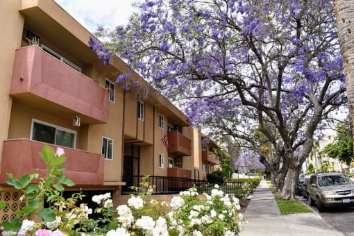 Beautiful flowers and trees