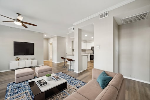 A living room with a brown couch and a blue rug.