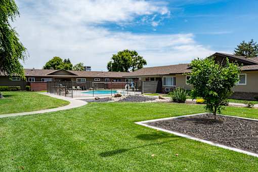 A tree in a mulched bed sits in front of a house.