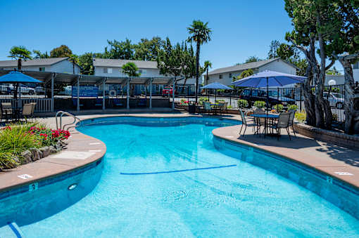 A large swimming pool with a blue tinted water surrounded by a fence and trees.