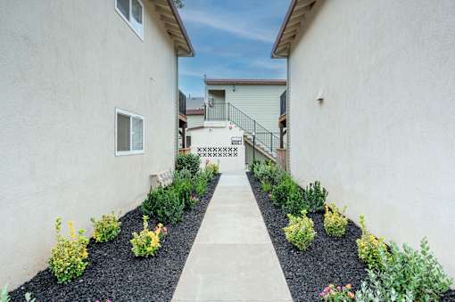 A garden pathway leads to a house with a white fence.