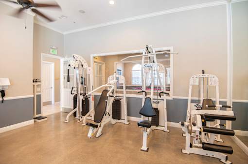 A gym with a variety of equipment including a treadmill, a stationary bike, and a rowing machine.