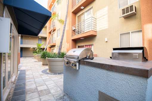 A patio area with a grill and potted plants.