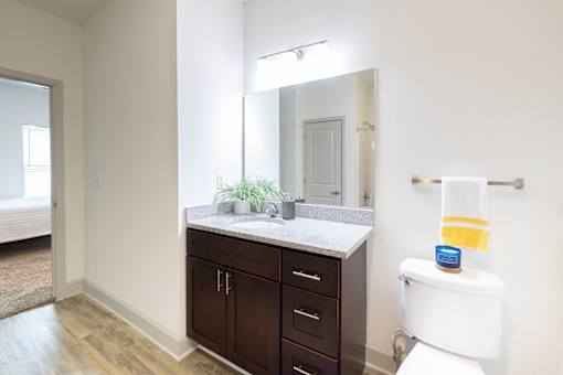 A bathroom with a white toilet and a counter with a mirror above it.