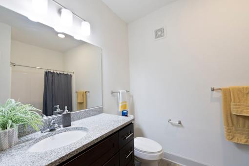 A bathroom with a toilet, sink, mirror, and a plant.
